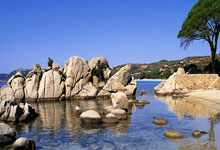 MK体育官网：德约：梅西不仅是伟大球员，过去20年他对世界体坛的影响是巨大的.